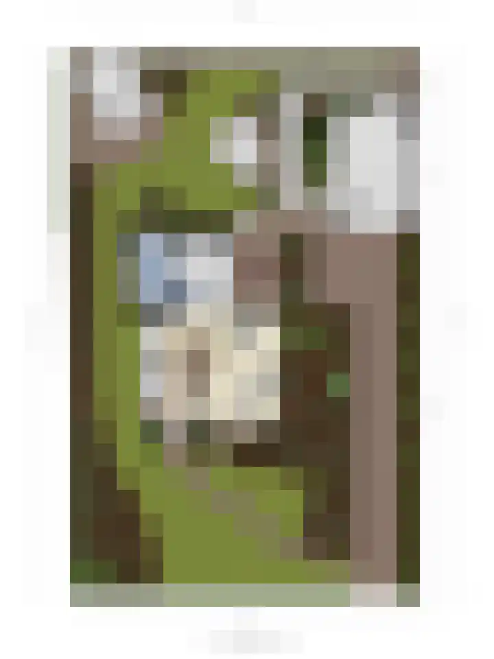 Hapsedijk 8 Rijkevoort thumbnail 39