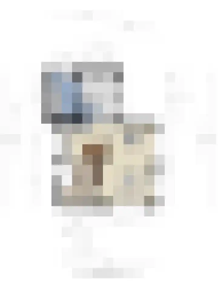 Hapsedijk 8 Rijkevoort thumbnail 41