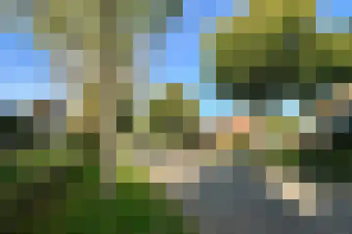 Hapsedijk 8 Rijkevoort thumbnail 7