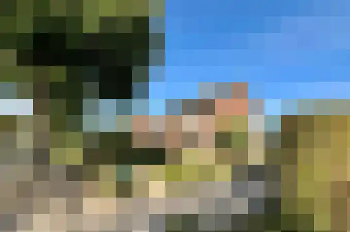 Hapsedijk 8 Rijkevoort thumbnail 8