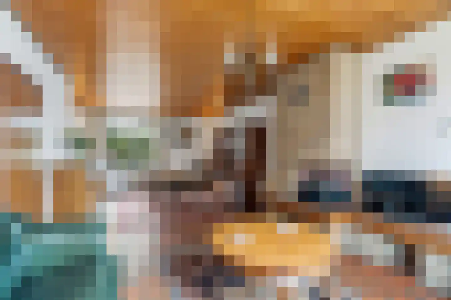 Hapseweg 23 Wanroij thumbnail 12