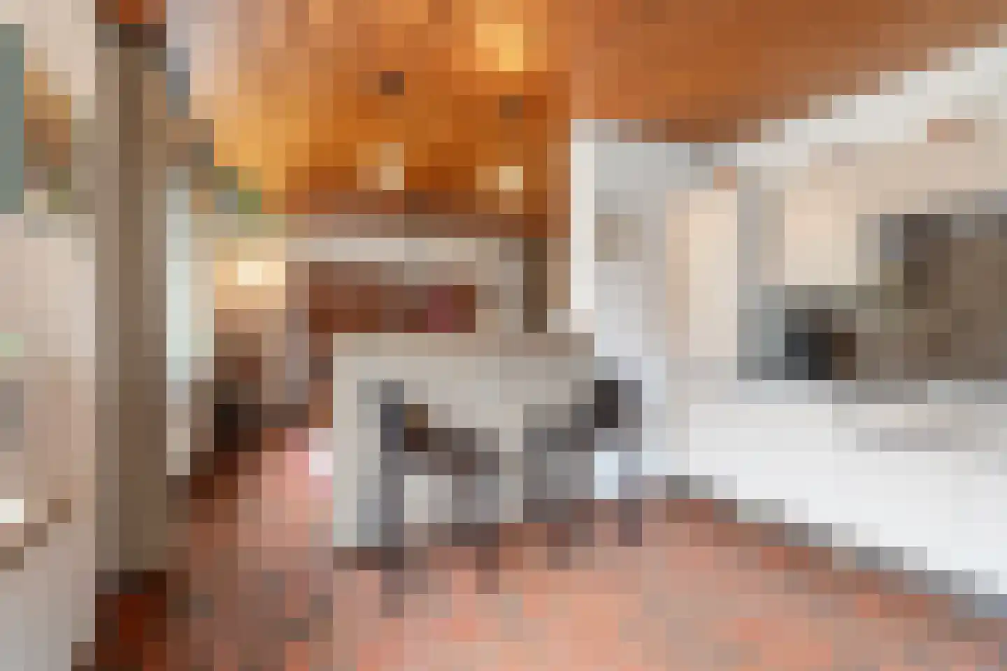 Hapseweg 23 Wanroij thumbnail 15