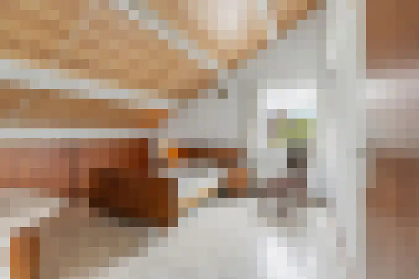 Hapseweg 23 Wanroij thumbnail 20