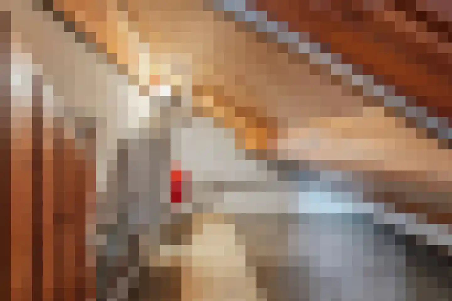 Hapseweg 23 Wanroij thumbnail 21