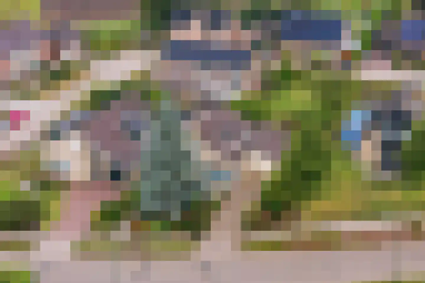 Hapseweg 23 Wanroij thumbnail 7