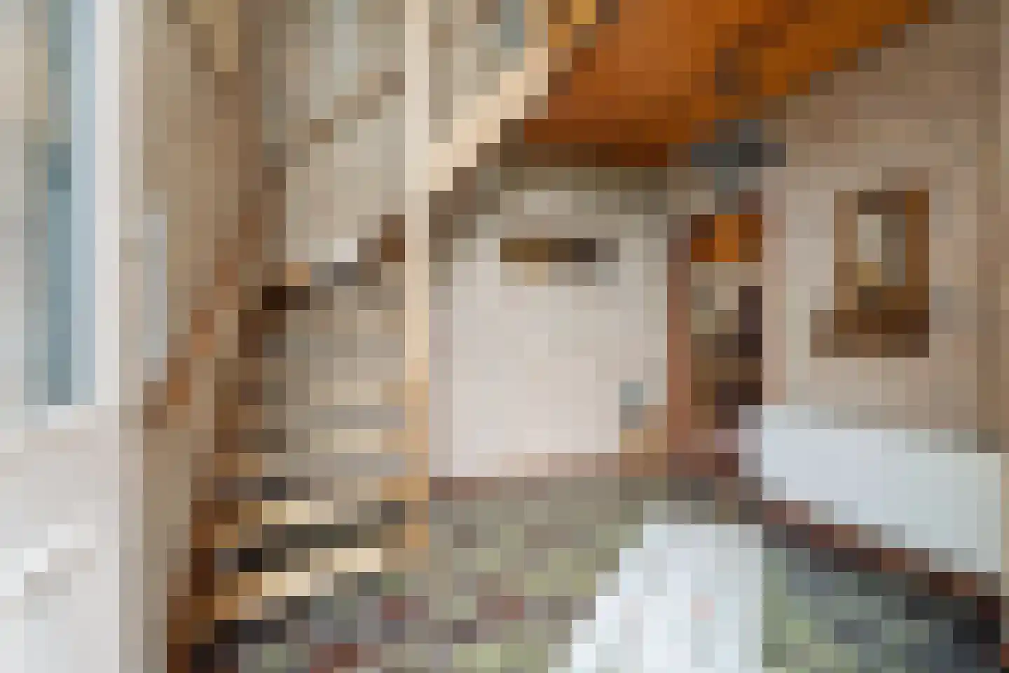 Hapseweg 23 Wanroij thumbnail 8