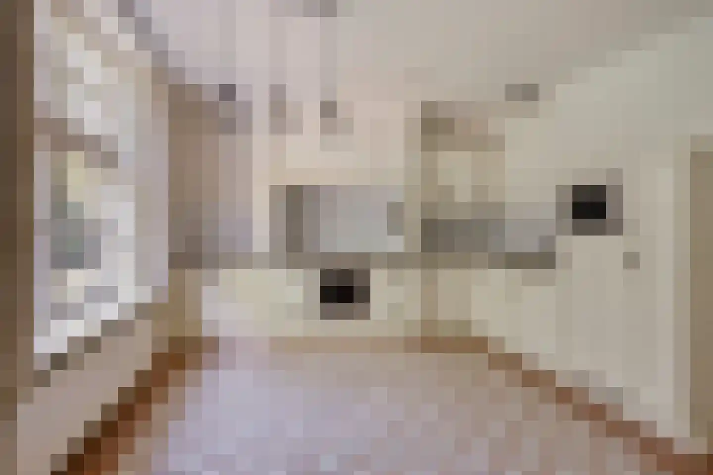 Hapseweg 5 Beugen thumbnail 23