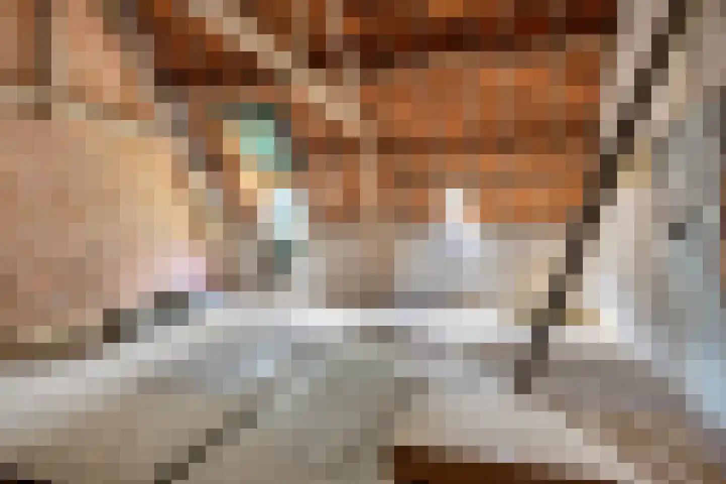 Hapseweg 5 Beugen thumbnail 43