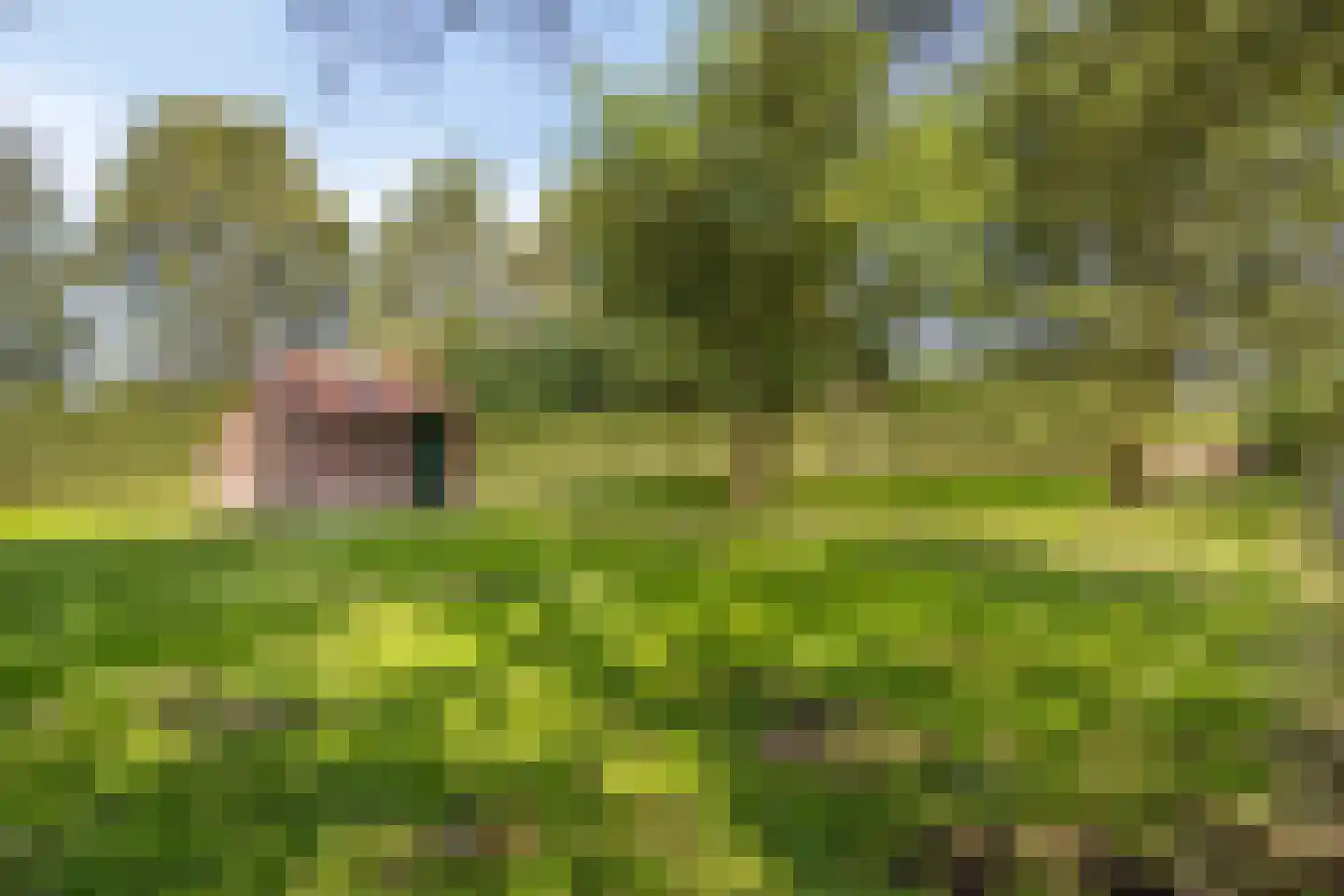 Hapseweg 5 Beugen thumbnail 46