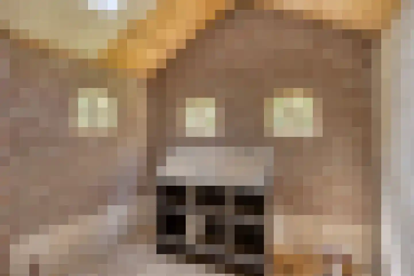 Hapseweg 5 Beugen thumbnail 47