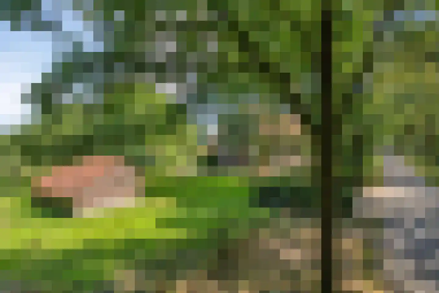 Hapseweg 5 Beugen thumbnail 5