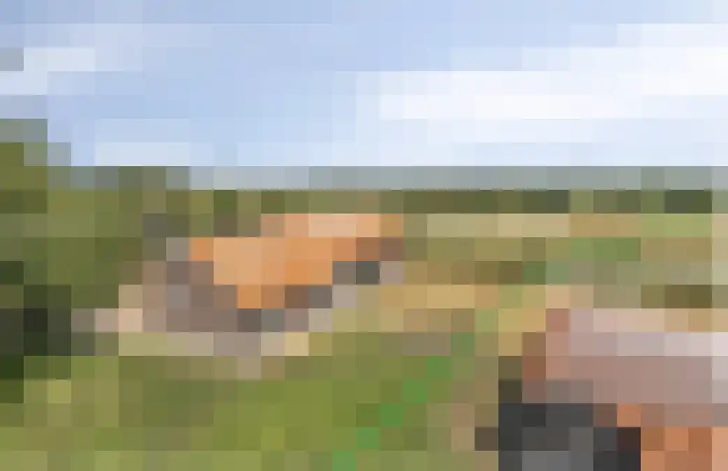 Hapseweg 5 Beugen thumbnail 61