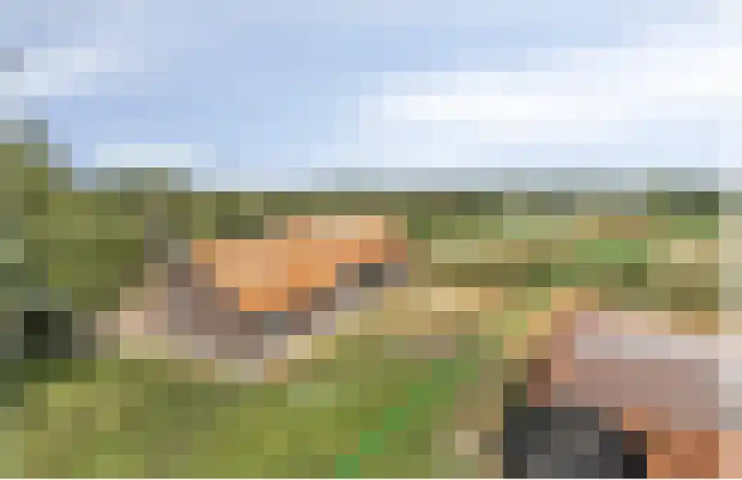 Hapseweg 5 Beugen thumbnail 64