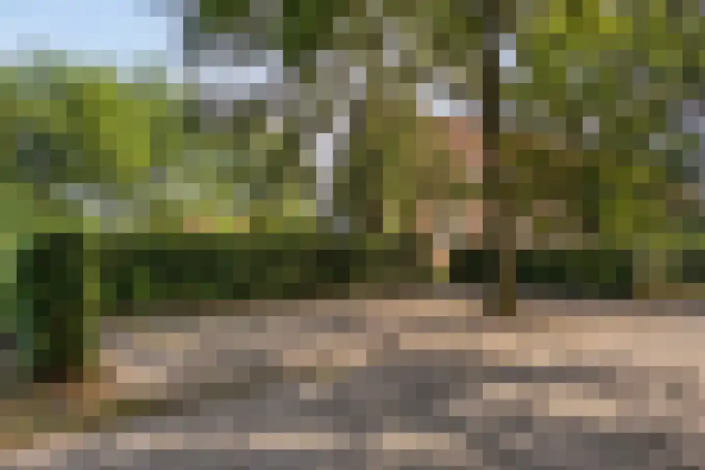 Hapseweg 5 Beugen thumbnail 8