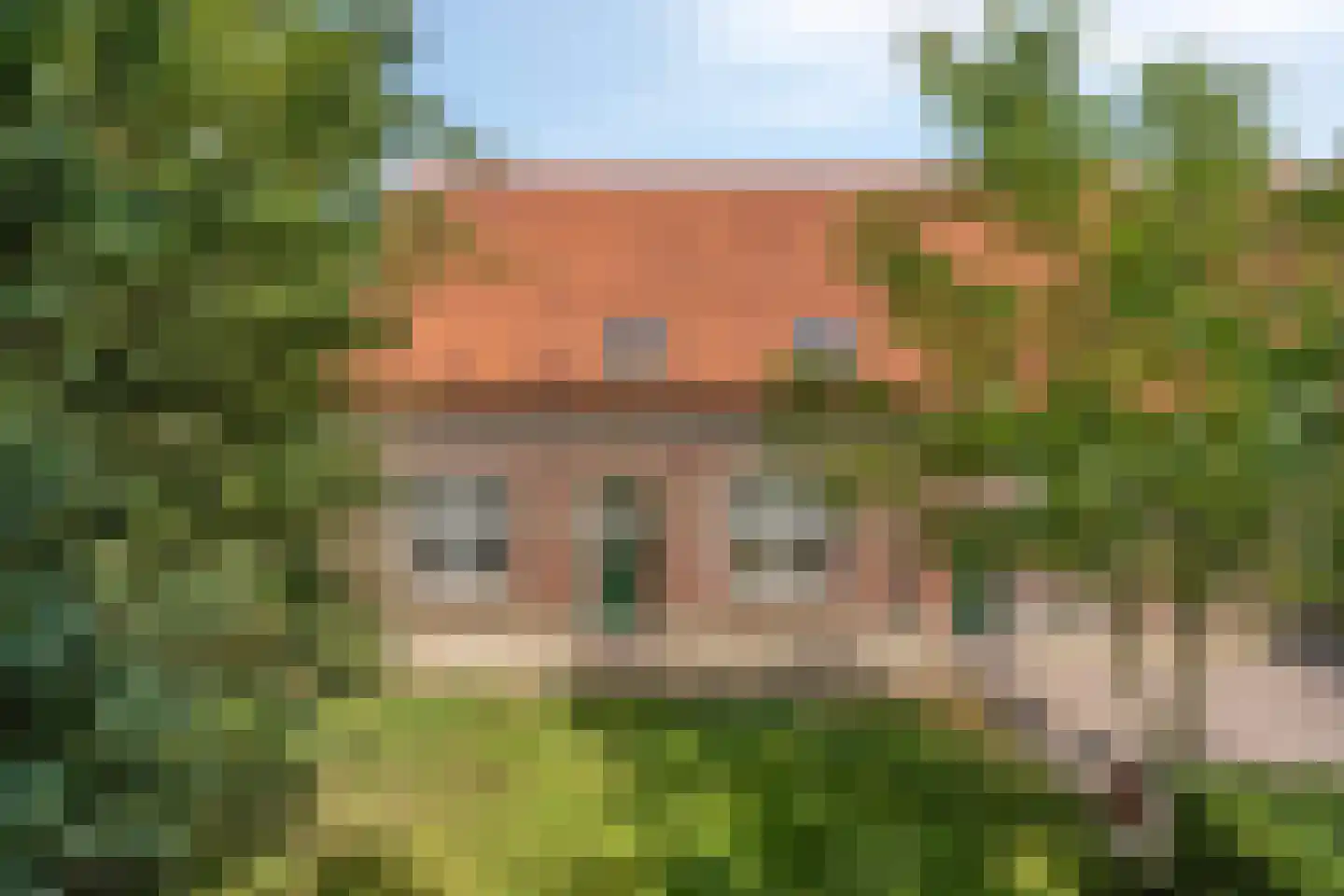 Hapseweg 5 Beugen thumbnail 9