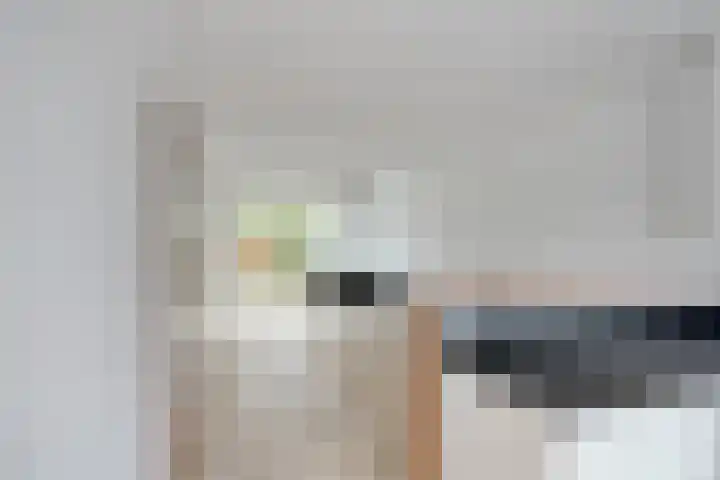 Harberskamp 23 Aalten thumbnail 13