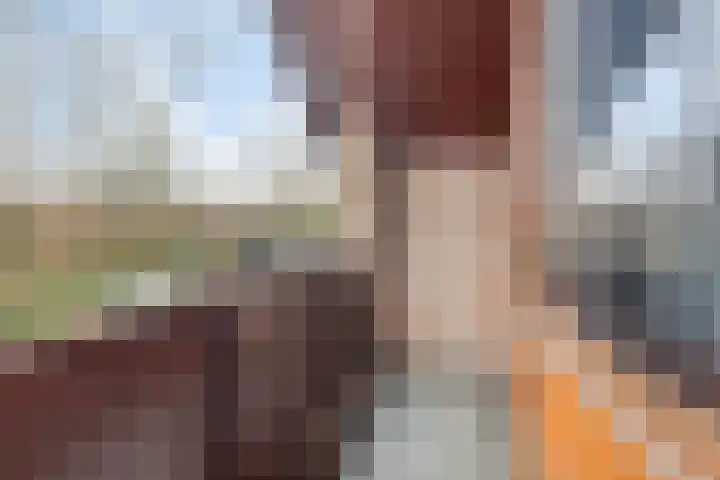 Harberskamp 23 Aalten thumbnail 24