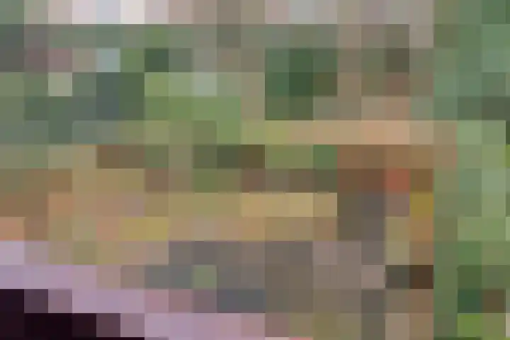 Harberskamp 23 Aalten thumbnail 25