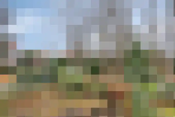 Harberskamp 23 Aalten thumbnail 26