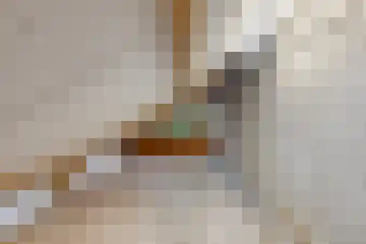 Harberskamp 23 Aalten thumbnail 34