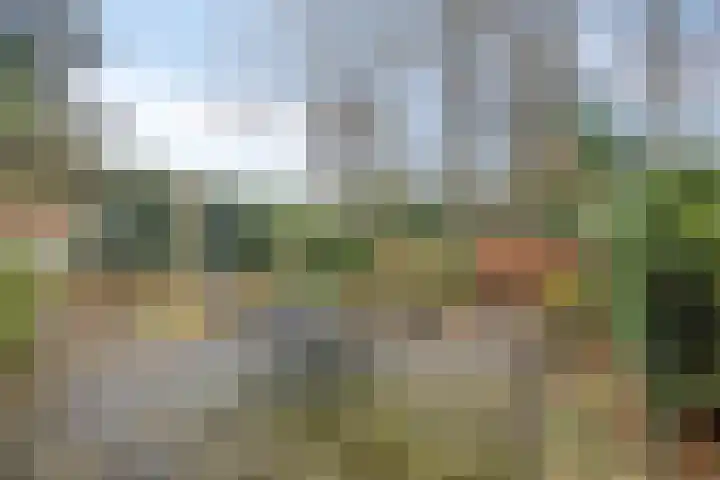 Harberskamp 23 Aalten thumbnail 36