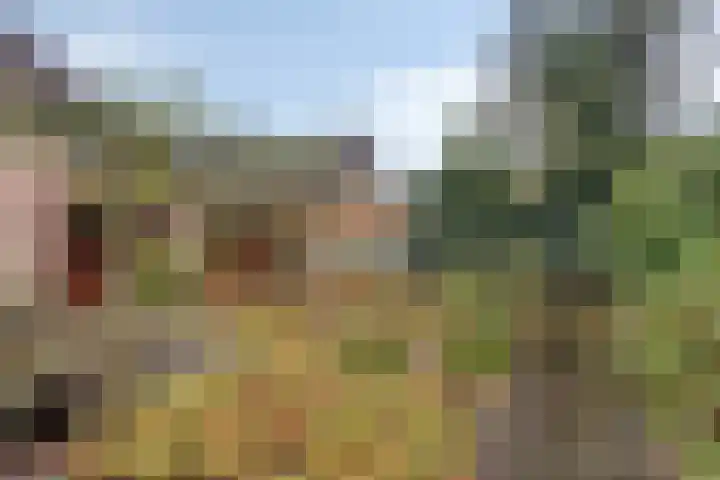 Harberskamp 23 Aalten thumbnail 37