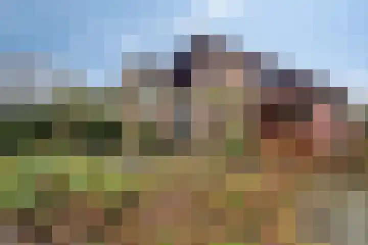 Harberskamp 23 Aalten thumbnail 38
