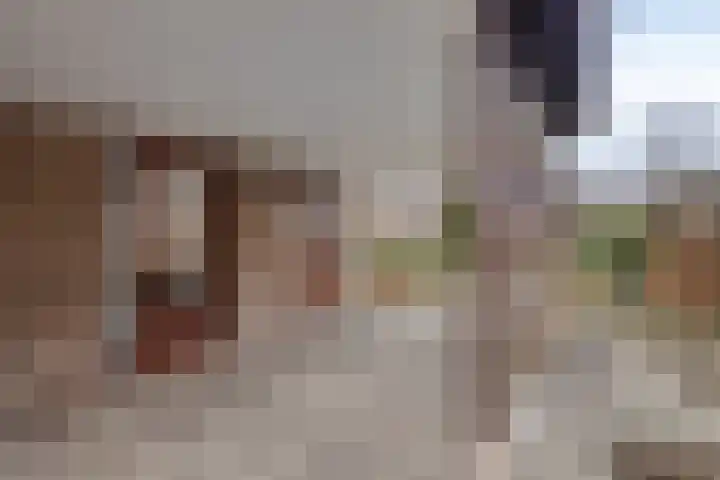 Harberskamp 23 Aalten thumbnail 41