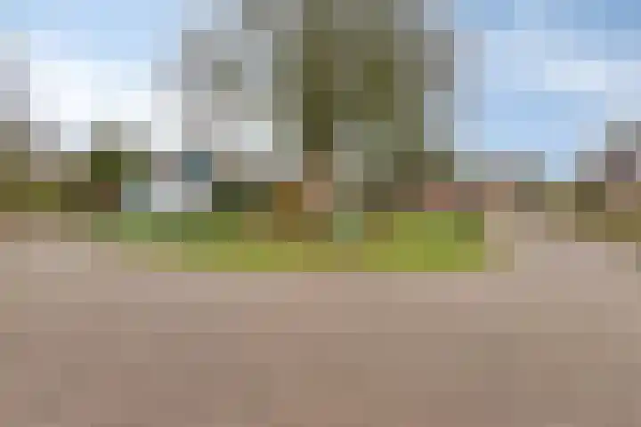 Harberskamp 23 Aalten thumbnail 43