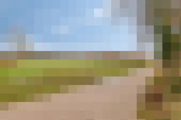 Harberskamp 23 Aalten thumbnail 44