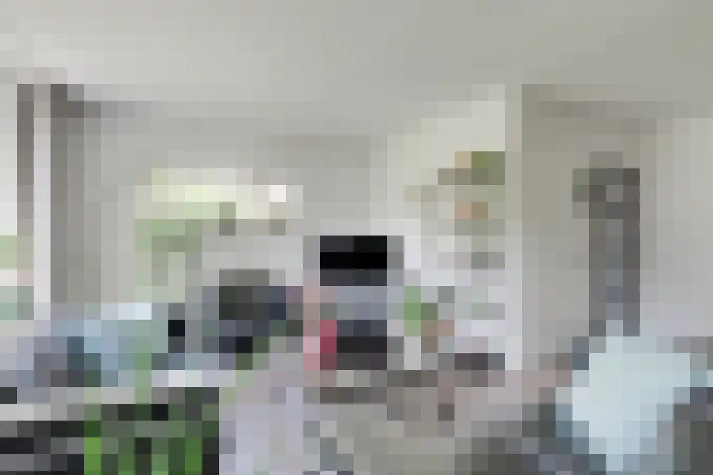Harberskamp 6 Aalten thumbnail 15
