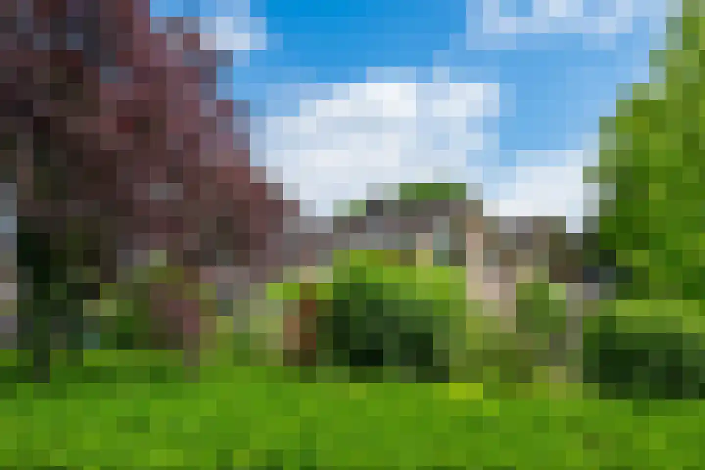 Harberskamp 6 Aalten thumbnail 4