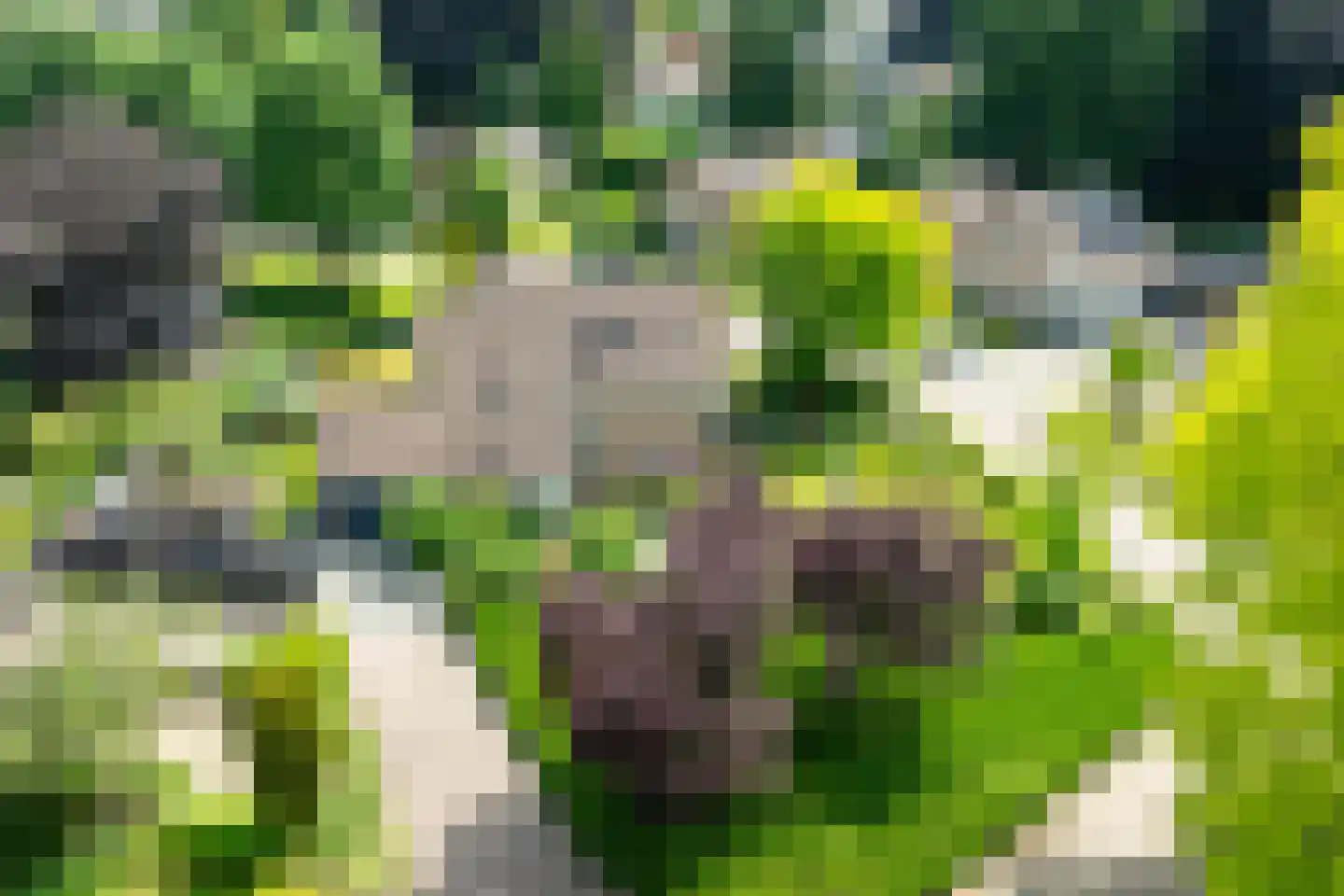 Harberskamp 6 Aalten thumbnail 5