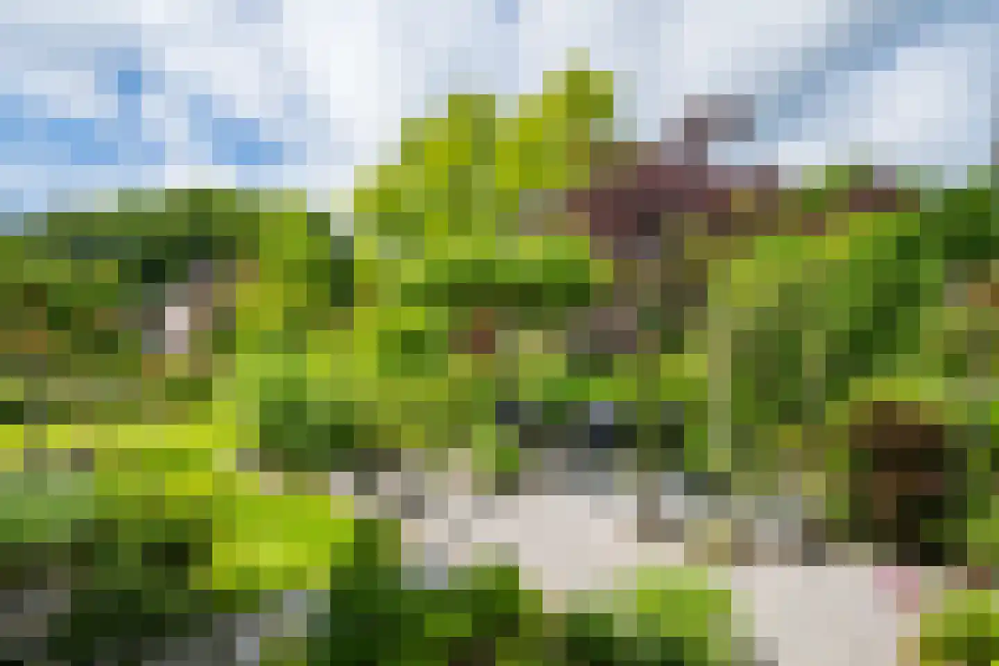 Harberskamp 6 Aalten thumbnail 50