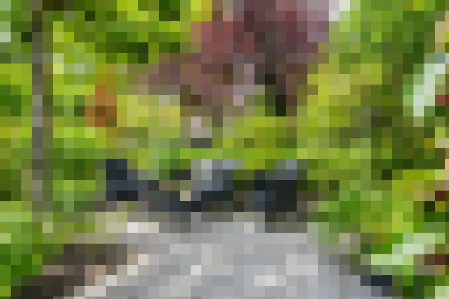 Harberskamp 6 Aalten thumbnail 51