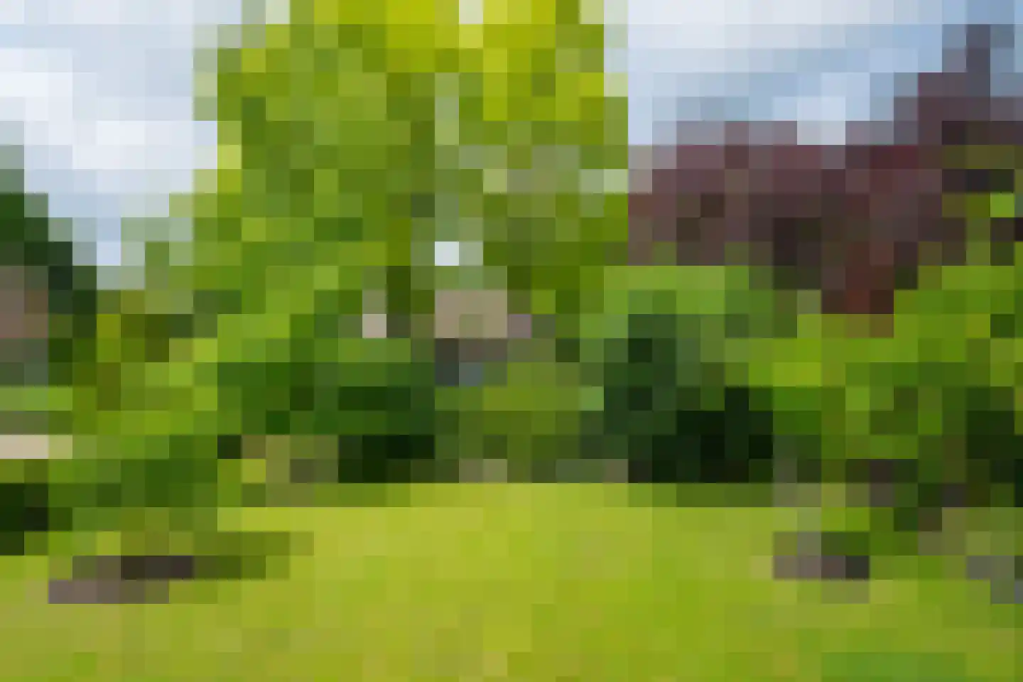 Harberskamp 6 Aalten thumbnail 54