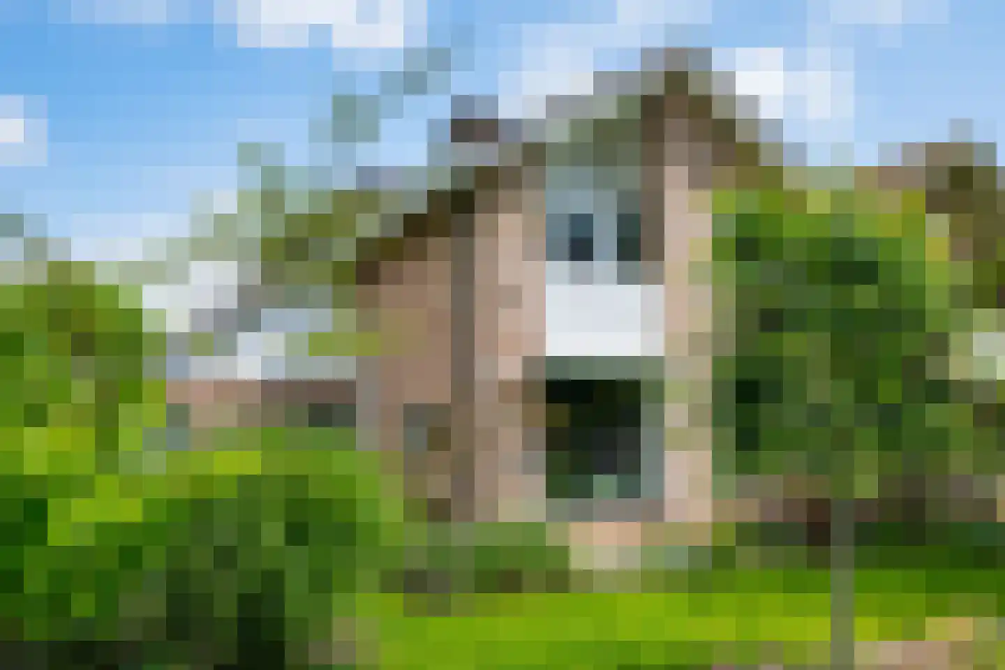 Harberskamp 6 Aalten thumbnail 56