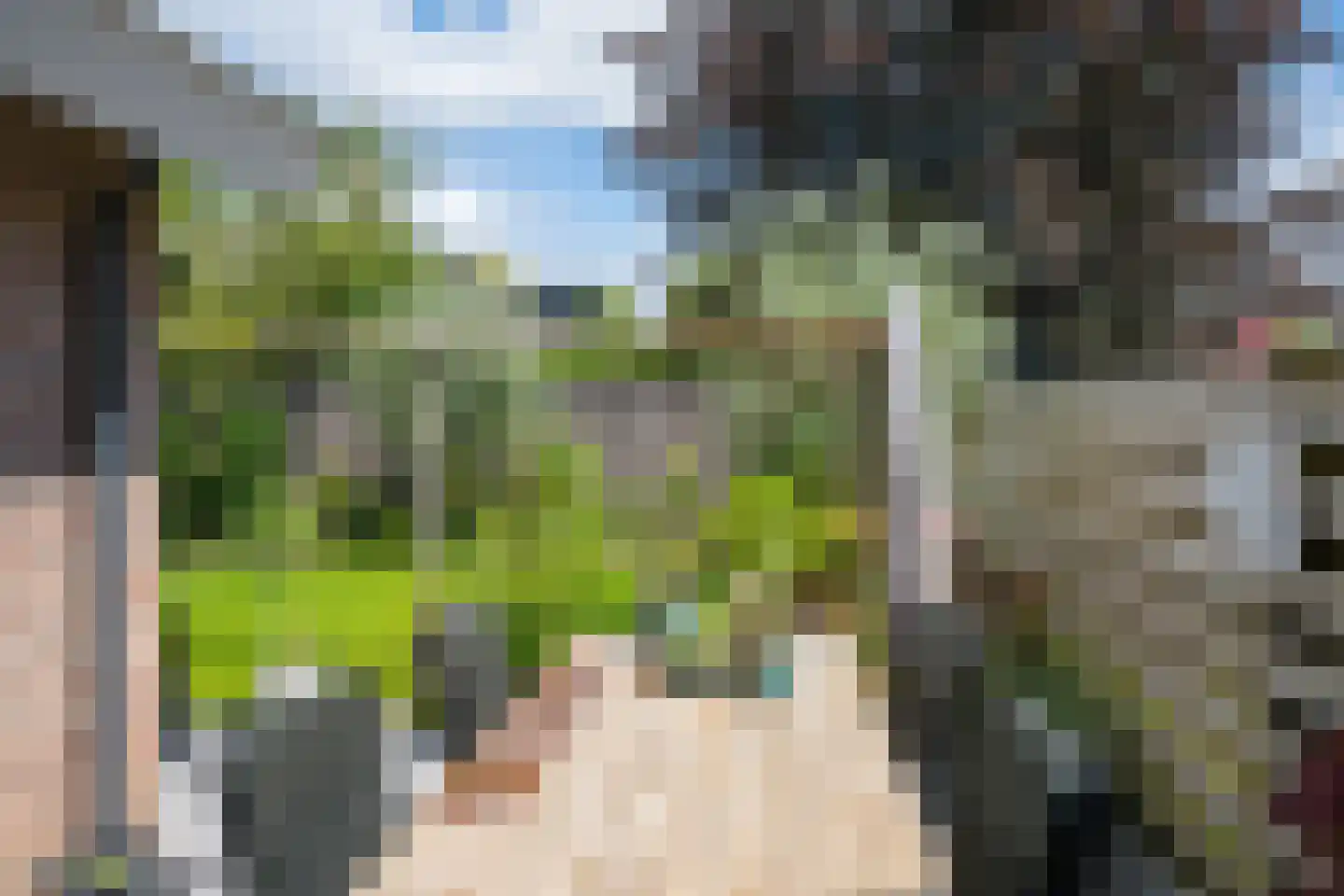 Harberskamp 6 Aalten thumbnail 57