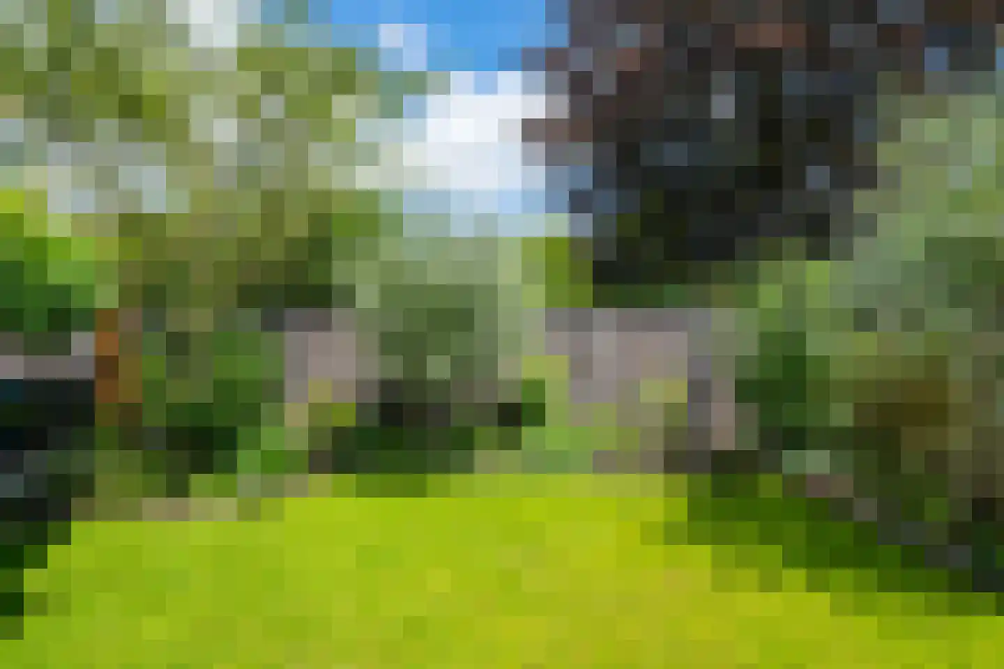 Harberskamp 6 Aalten thumbnail 59