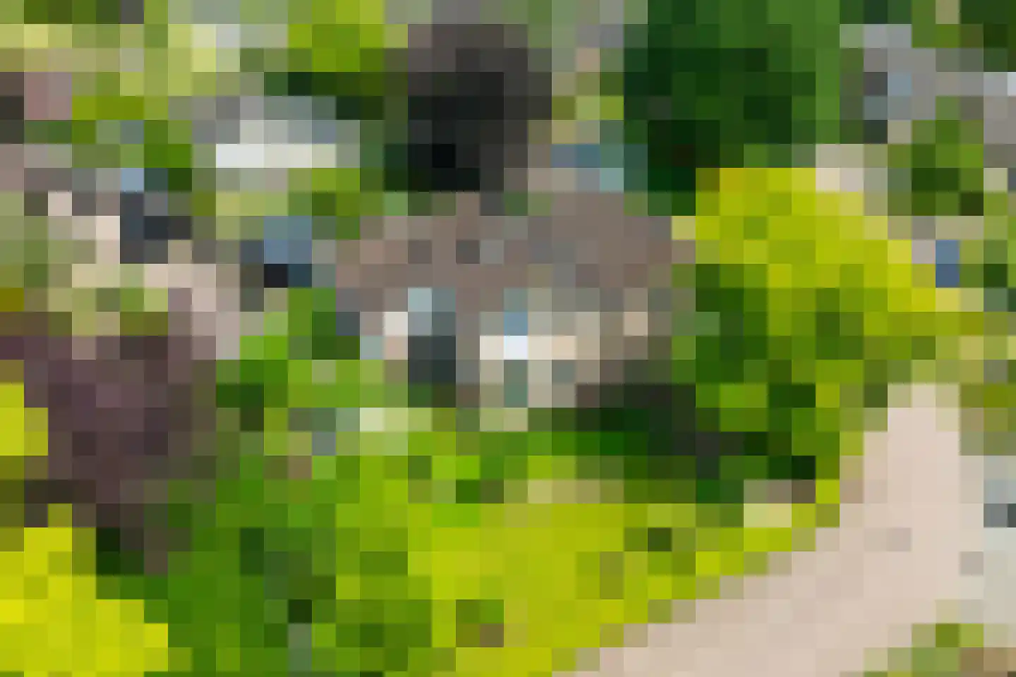 Harberskamp 6 Aalten thumbnail 6