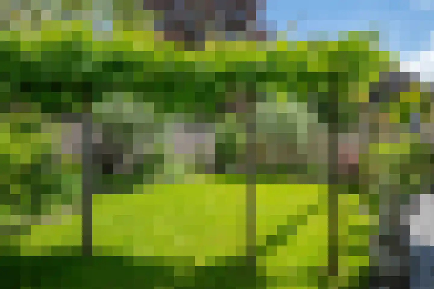 Harberskamp 6 Aalten thumbnail 60