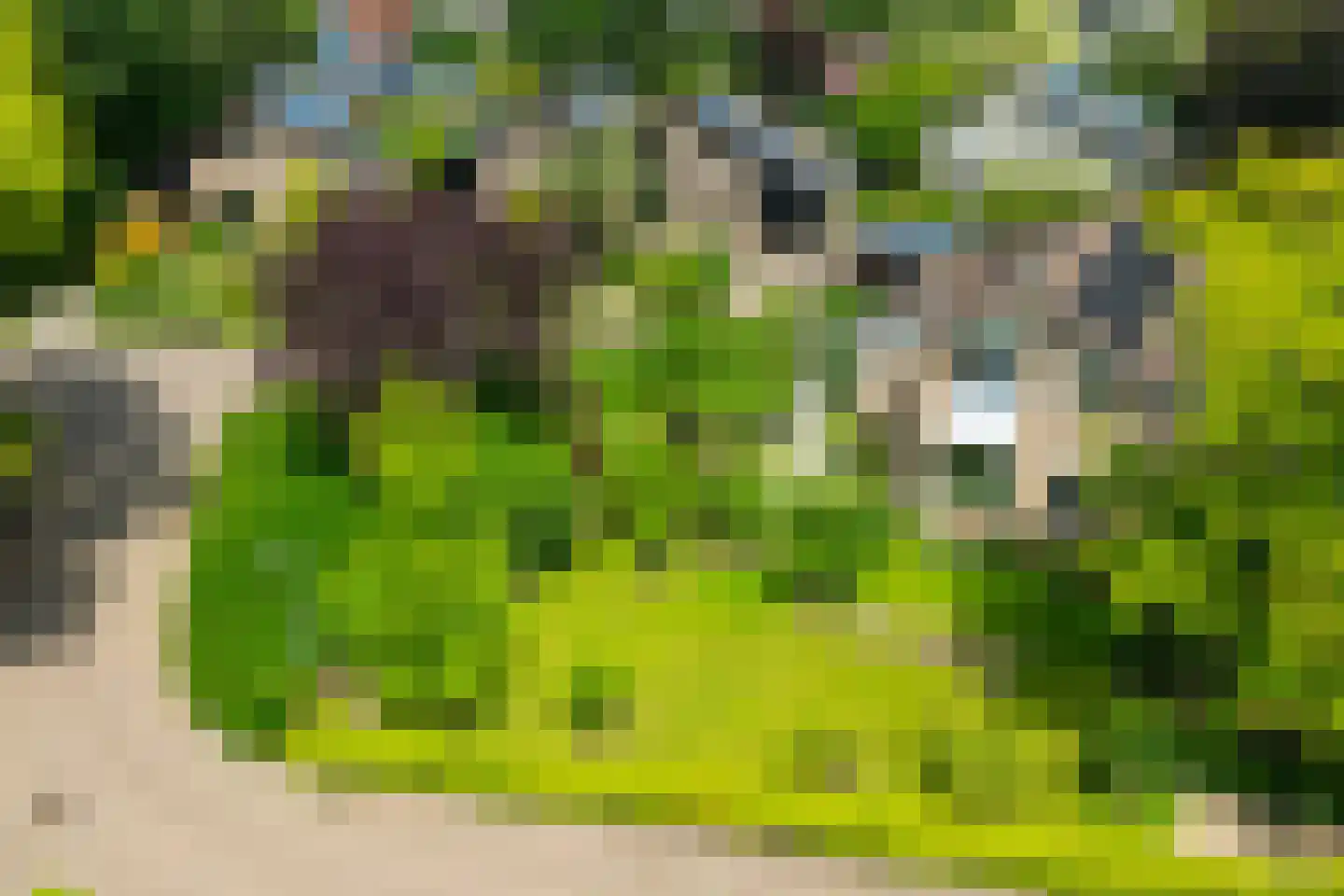 Harberskamp 6 Aalten thumbnail 7