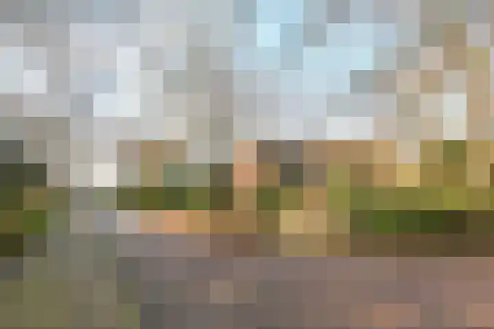 Harddraverslaan 51 Santpoort-Zuid thumbnail 33