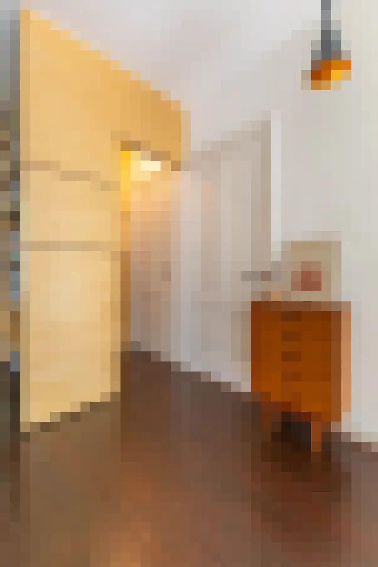 Harddraverstraat 41 B Rotterdam thumbnail 17