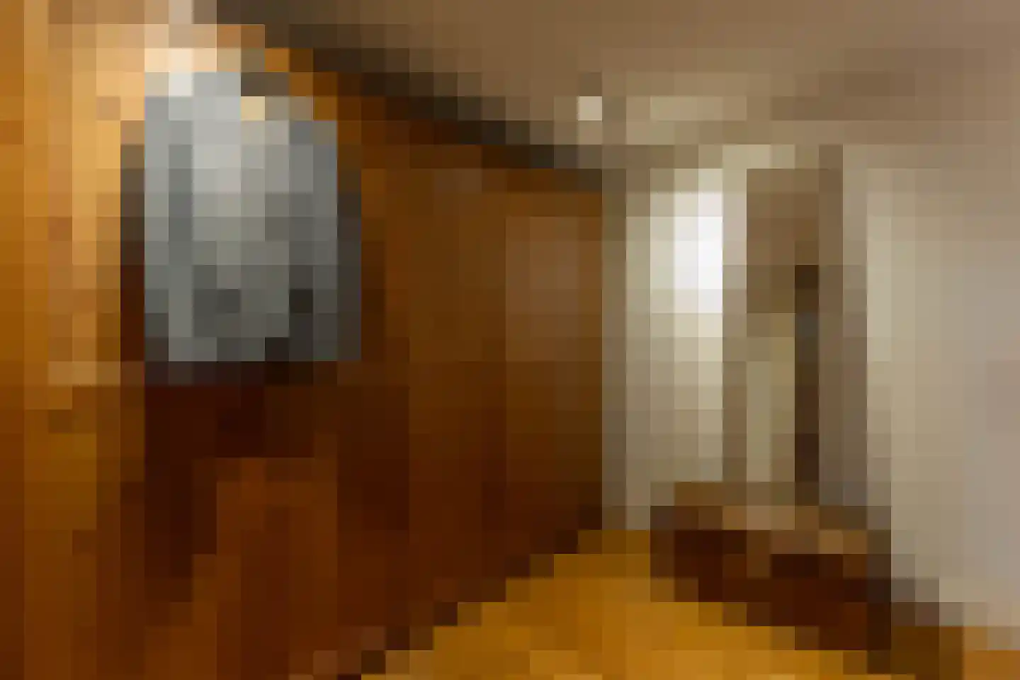 Harddraverstraat 41 B Rotterdam thumbnail 27