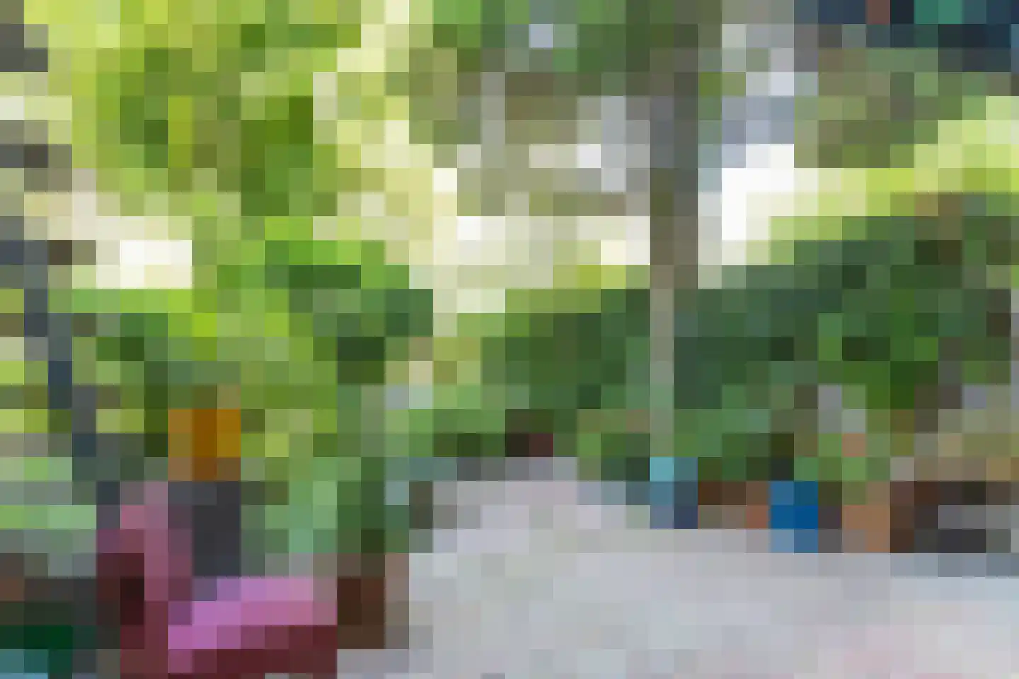 Harddraverstraat 41 B Rotterdam thumbnail 35