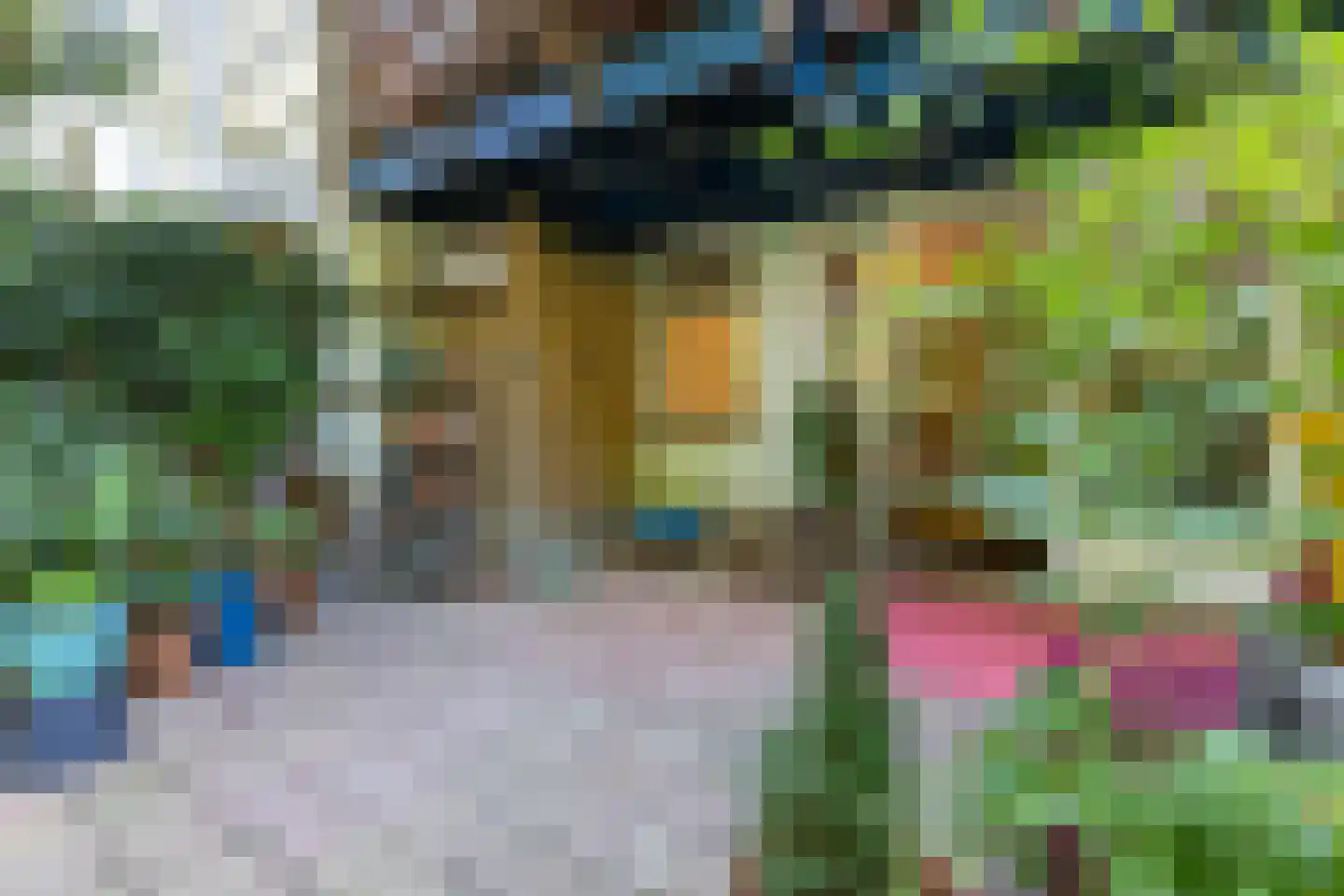 Harddraverstraat 41 B Rotterdam thumbnail 36