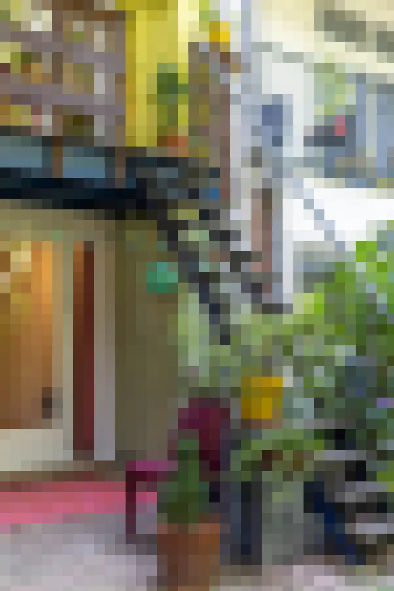 Harddraverstraat 41 B Rotterdam thumbnail 38