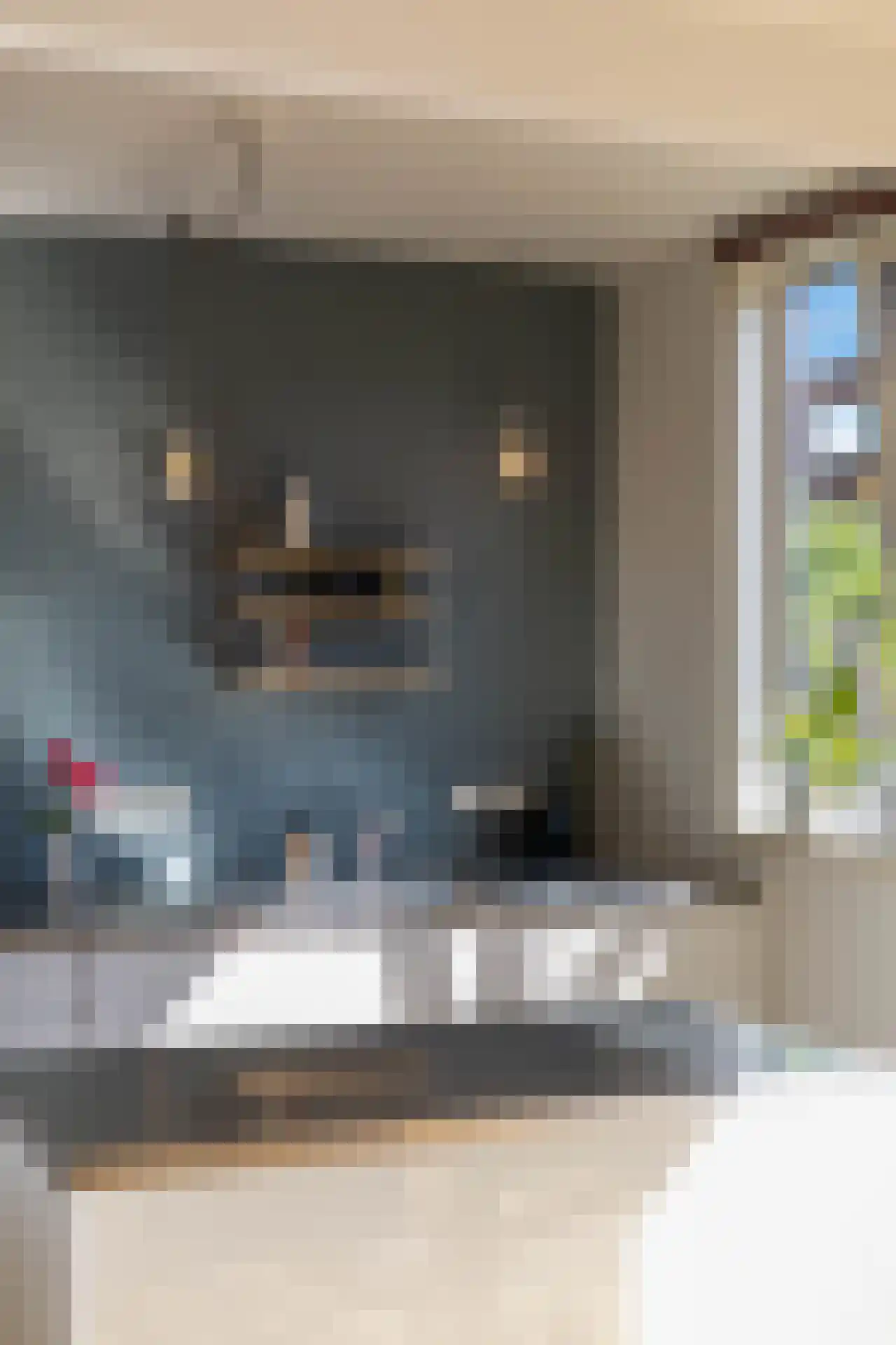 Harddraverstraat 54 A Rotterdam thumbnail 12