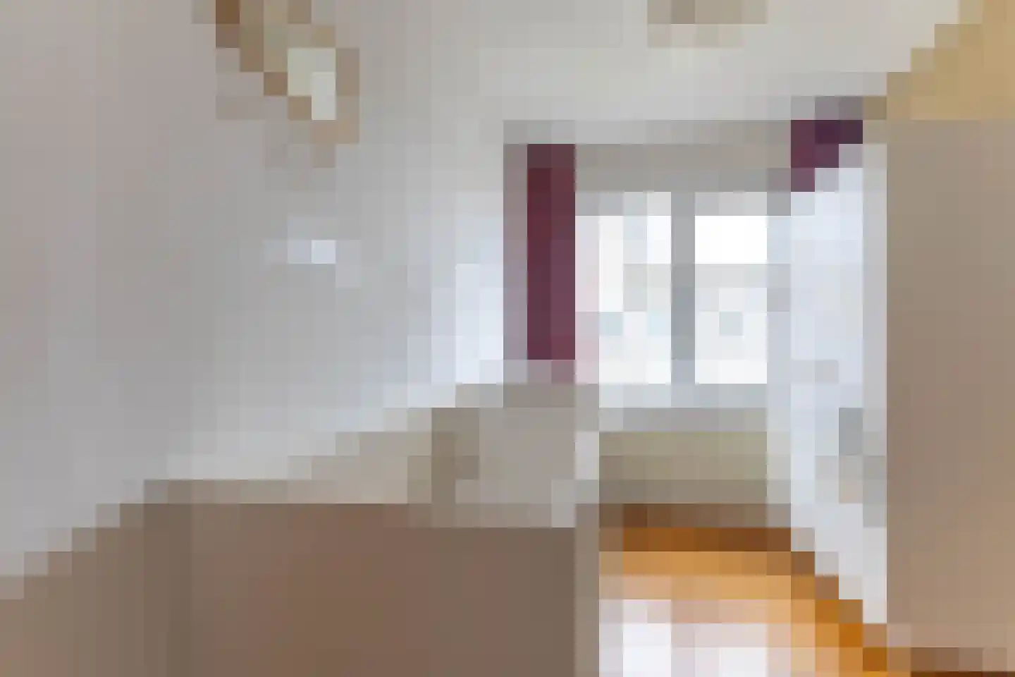Harddraverstraat 54 A Rotterdam thumbnail 26